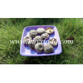 Smooth Shiitake Champignons 1kgs Pack avec bouchon 4-6cm et sans tige